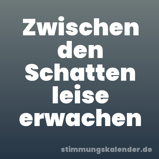 Zwischen den Schatten leise erwachen
