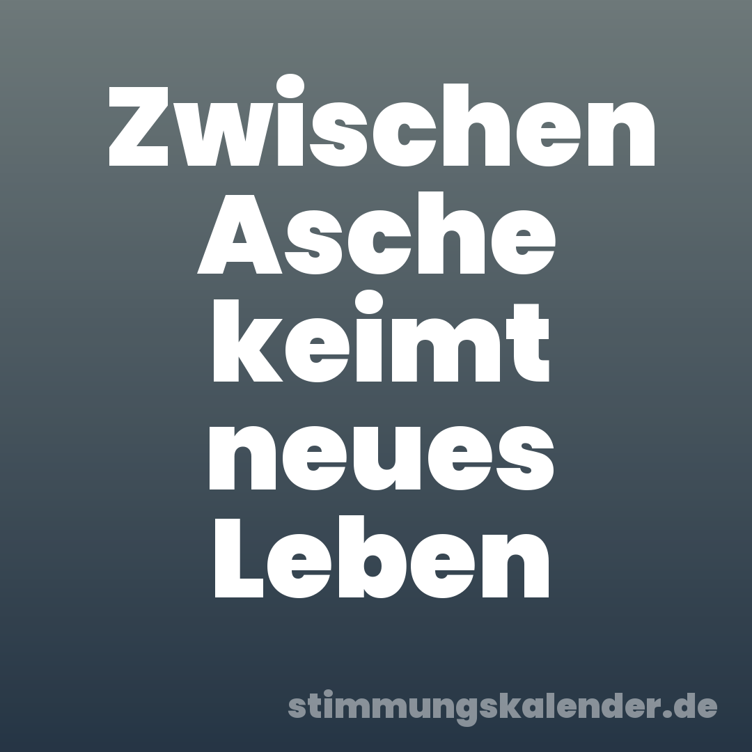 Zwischen Asche keimt neues Leben