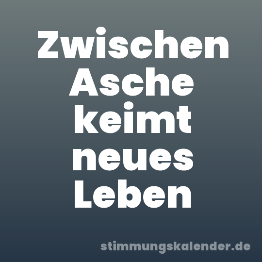 Zwischen Asche keimt neues Leben