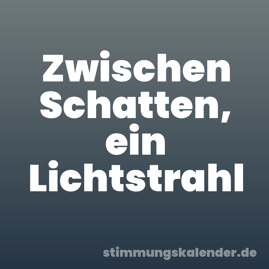 Zwischen Schatten, ein Lichtstrahl