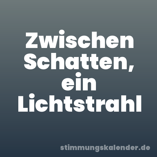 Zwischen Schatten, ein Lichtstrahl