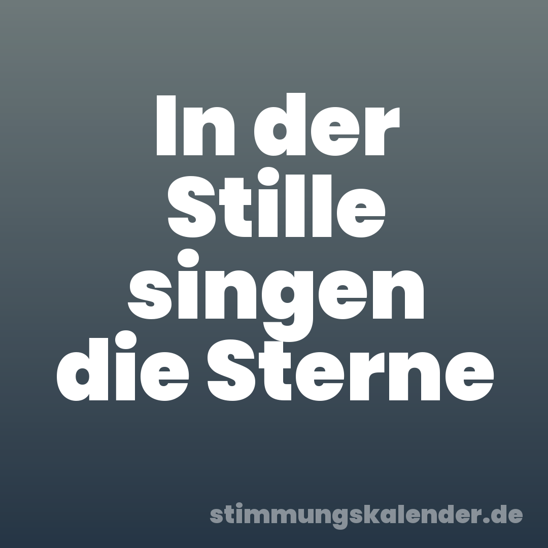 In der Stille singen die Sterne