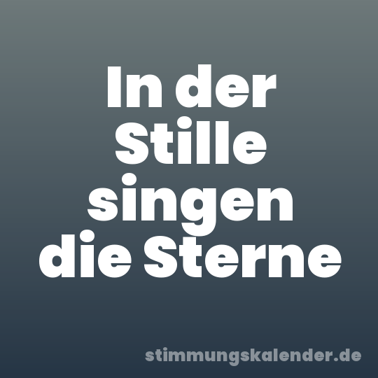 In der Stille singen die Sterne