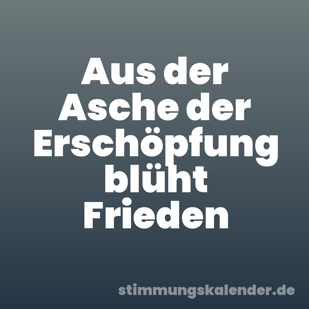 Aus der Asche der Erschöpfung blüht Frieden