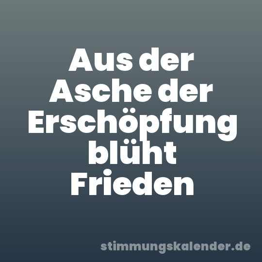 Aus der Asche der Erschöpfung blüht Frieden