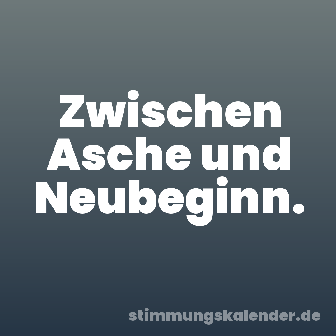 Zwischen Asche und Neubeginn.