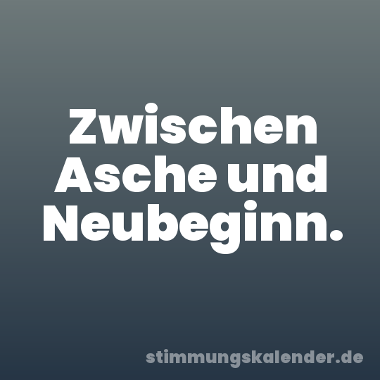 Zwischen Asche und Neubeginn.