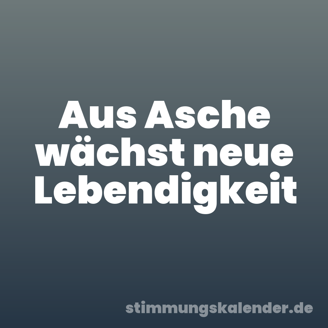 Aus Asche wächst neue Lebendigkeit