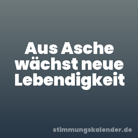 Aus Asche wächst neue Lebendigkeit