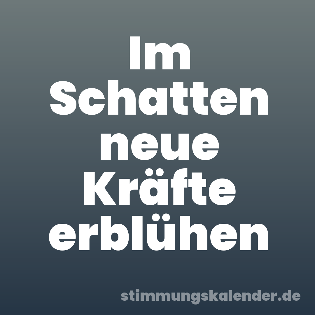 Im Schatten neue Kräfte erblühen