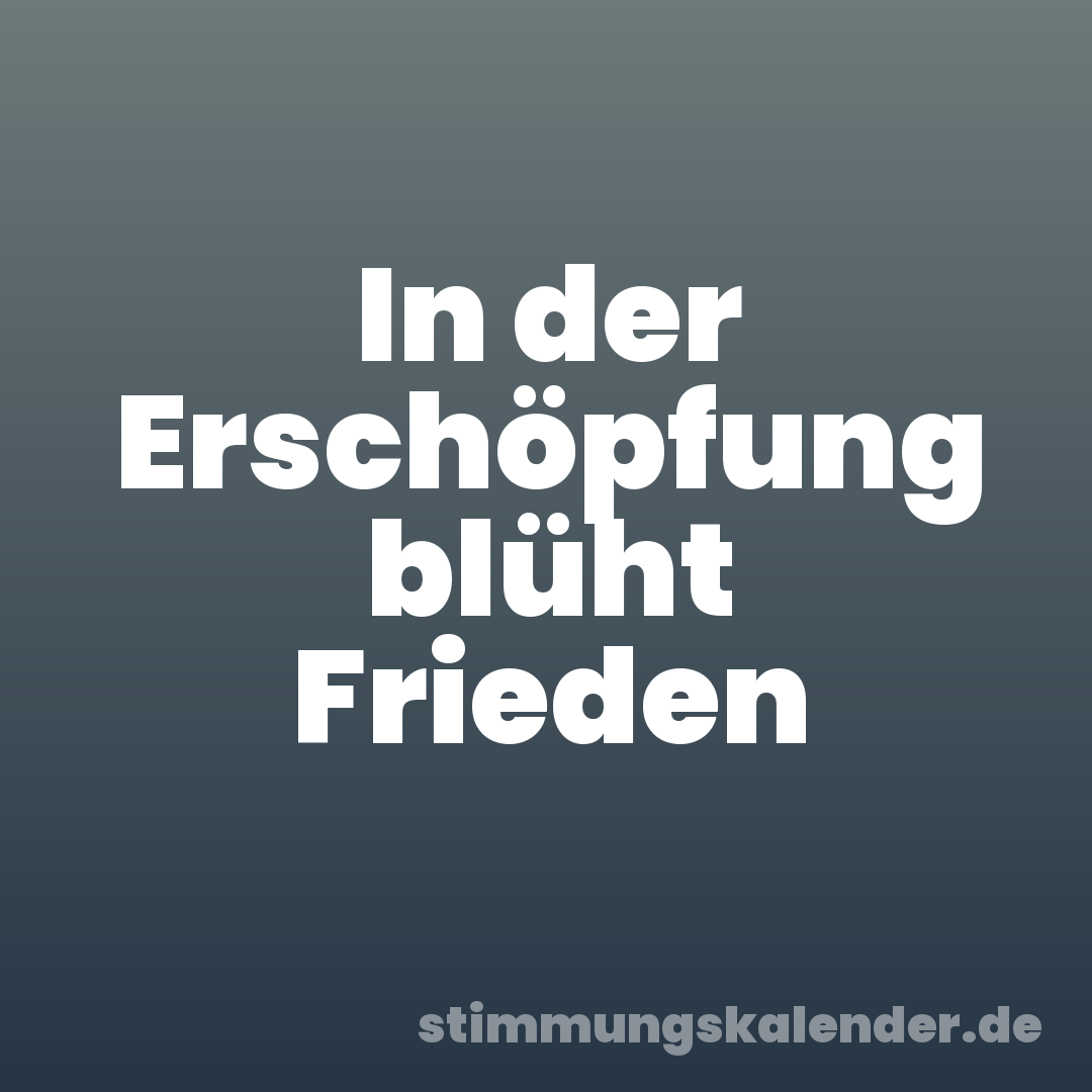 In der Erschöpfung blüht Frieden