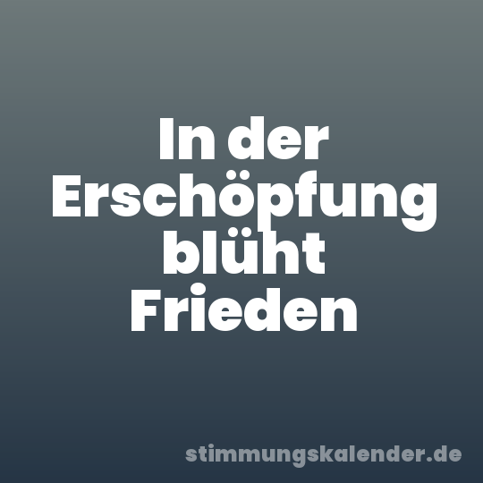 In der Erschöpfung blüht Frieden