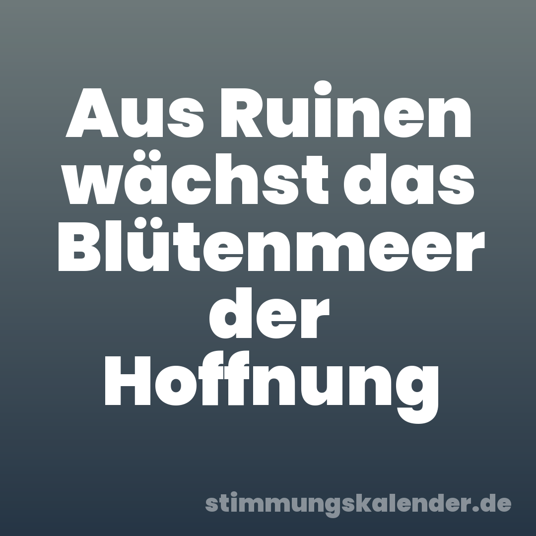 Aus Ruinen wächst das Blütenmeer der Hoffnung