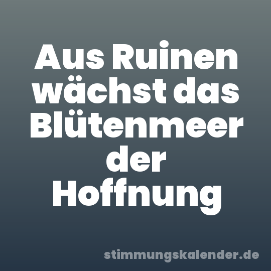 Aus Ruinen wächst das Blütenmeer der Hoffnung