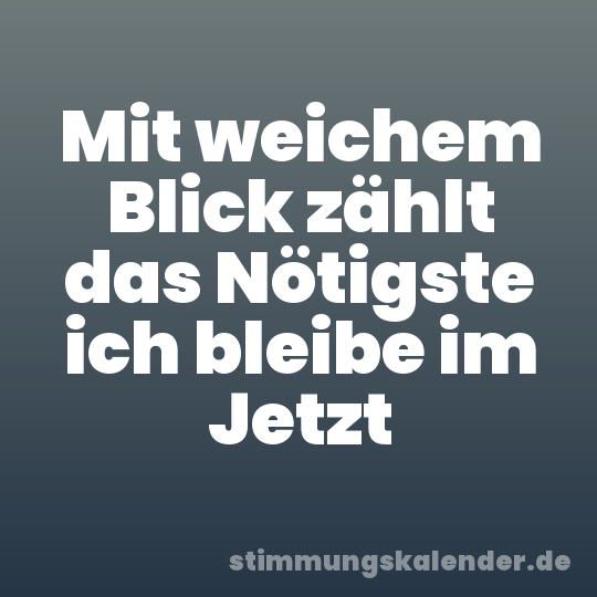 Mit weichem Blick zählt das Nötigste ich bleibe im Jetzt