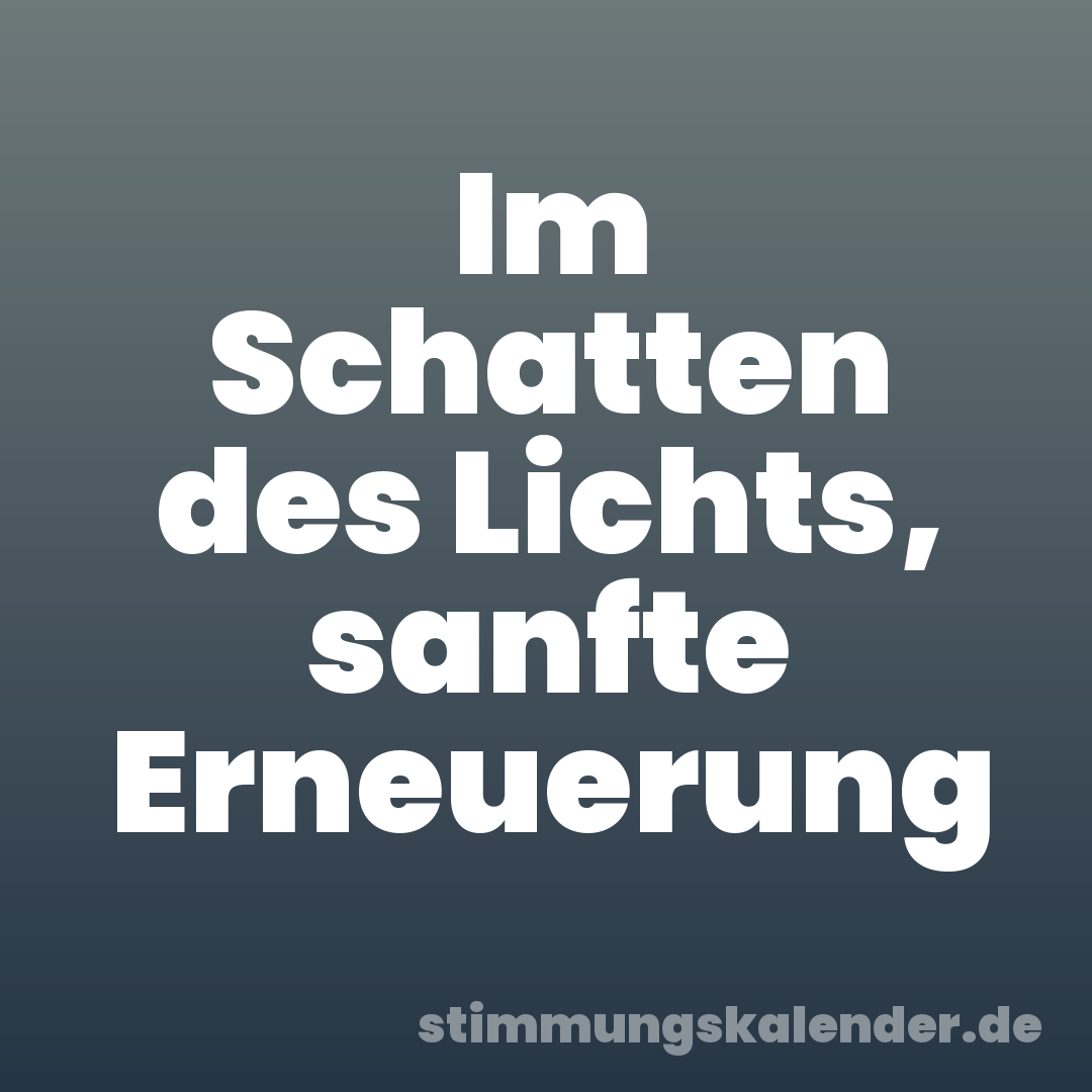 Im Schatten des Lichts, sanfte Erneuerung