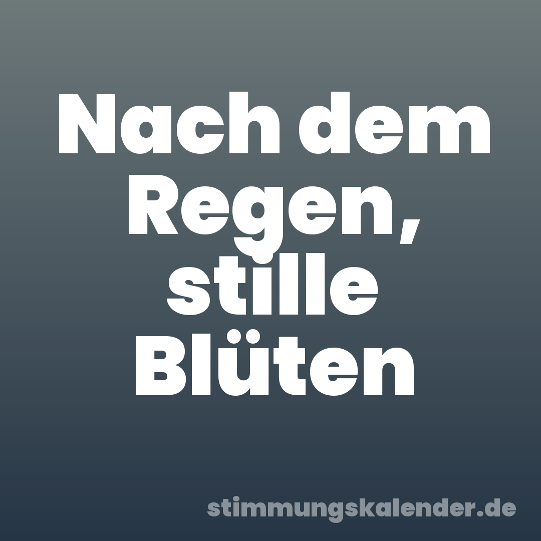 Nach dem Regen, stille Blüten