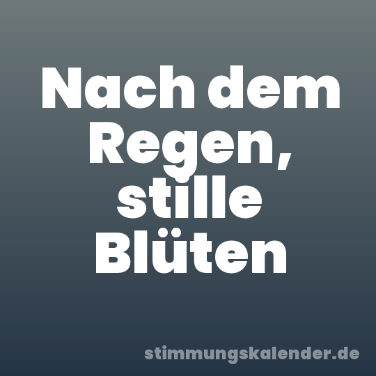 Nach dem Regen, stille Blüten