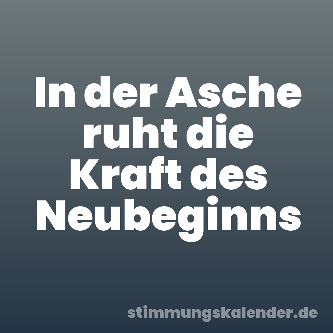 In der Asche ruht die Kraft des Neubeginns