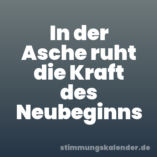 In der Asche ruht die Kraft des Neubeginns