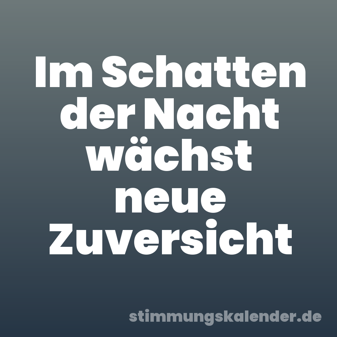 Im Schatten der Nacht wächst neue Zuversicht
