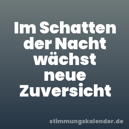 Im Schatten der Nacht wächst neue Zuversicht