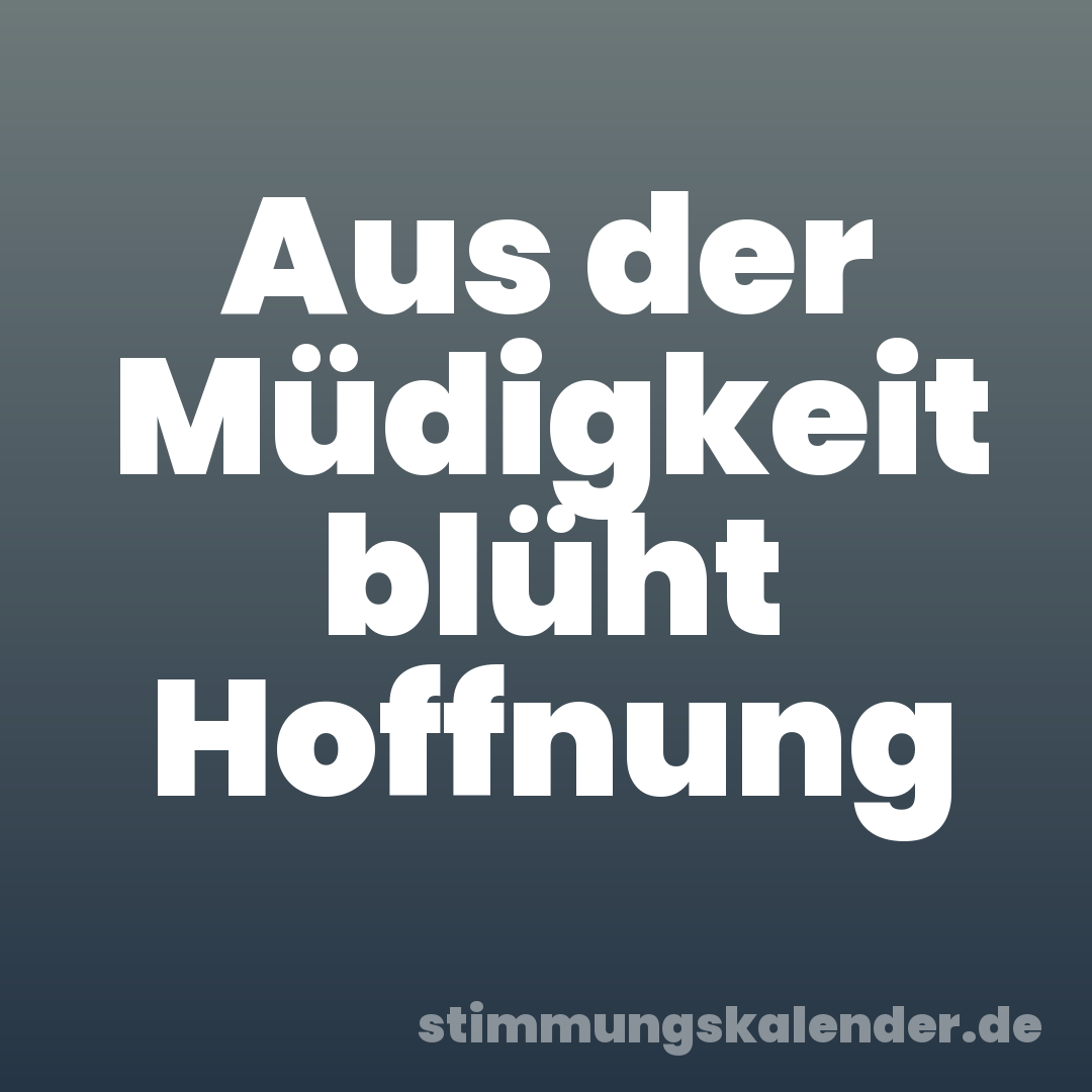 Aus der Müdigkeit blüht Hoffnung