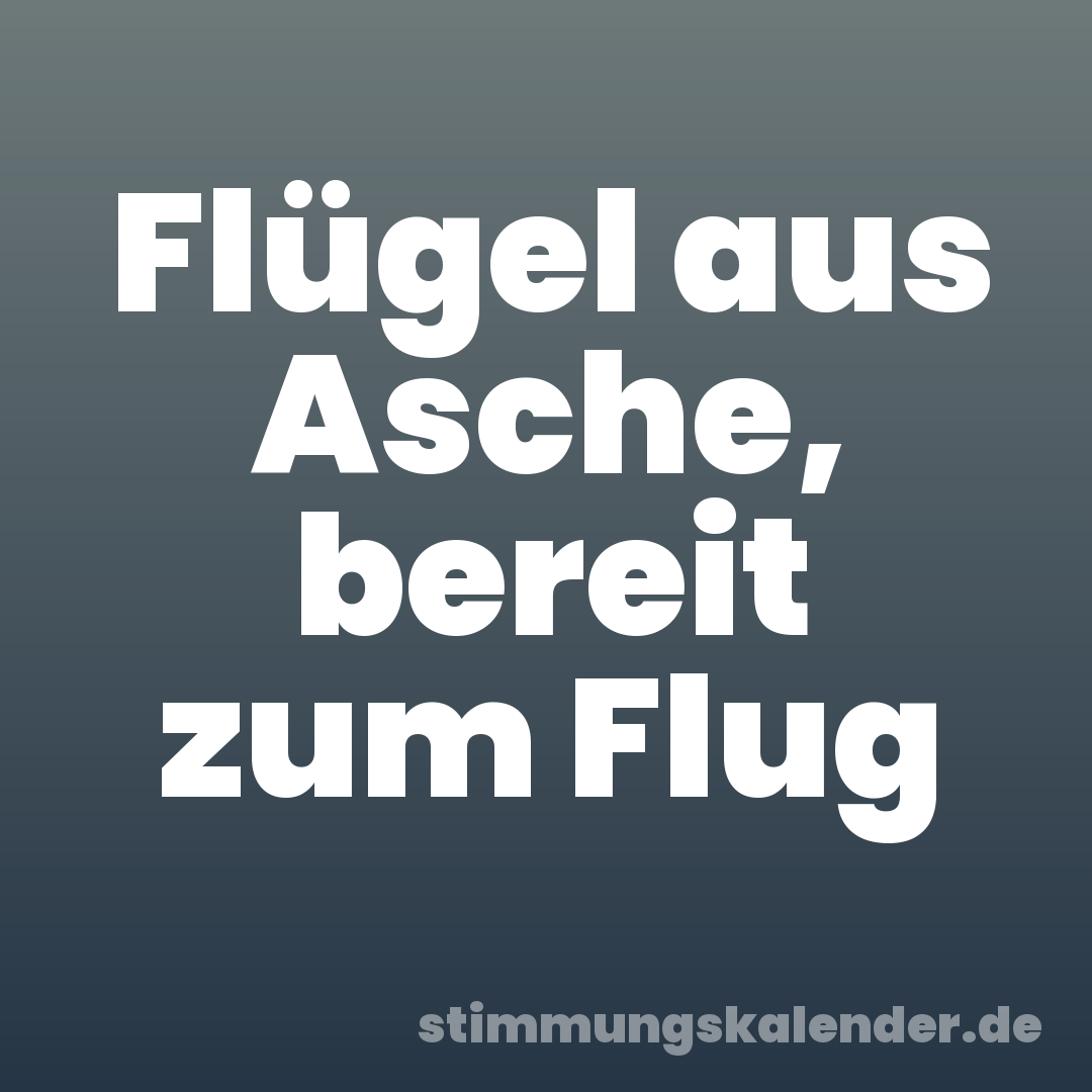Flügel aus Asche, bereit zum Flug