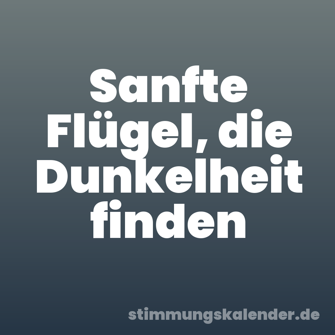 Sanfte Flügel, die Dunkelheit finden