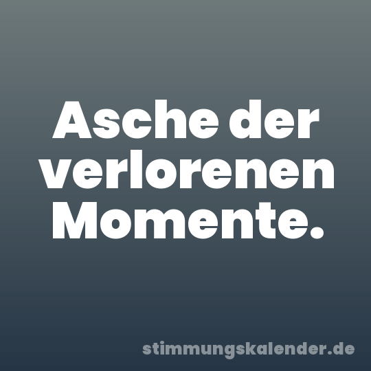 Asche der verlorenen Momente.