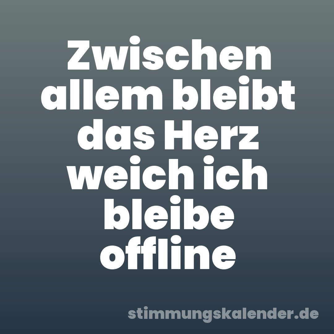 Zwischen allem bleibt das Herz weich ich bleibe offline