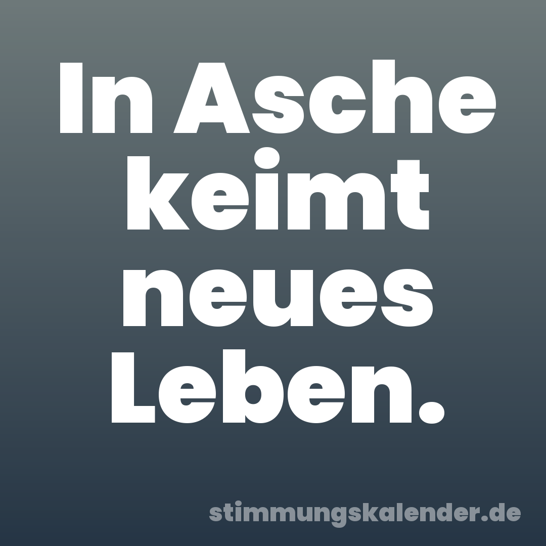 In Asche keimt neues Leben.
