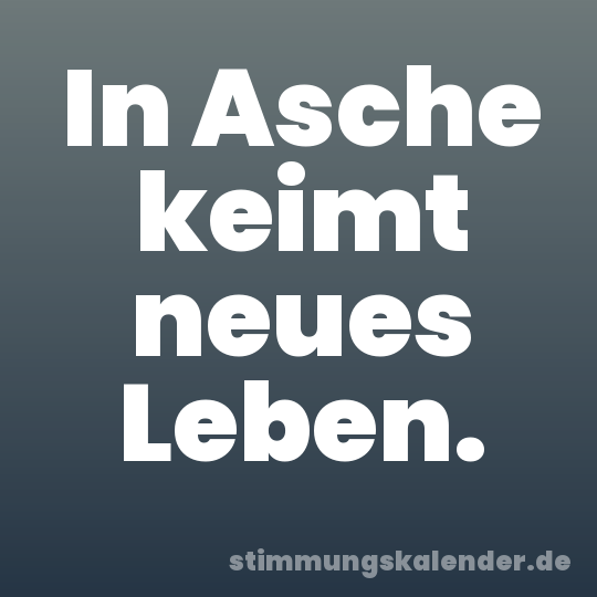 In Asche keimt neues Leben.
