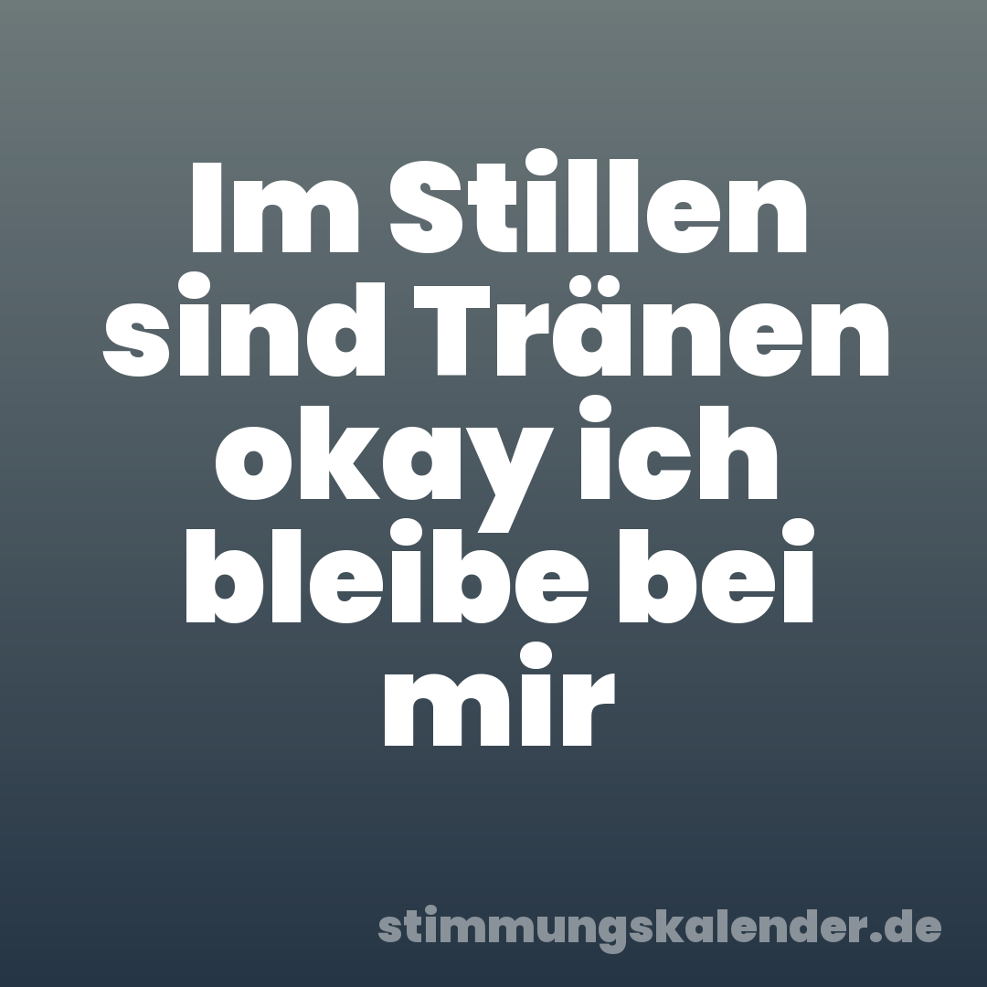 Im Stillen sind Tränen okay ich bleibe bei mir