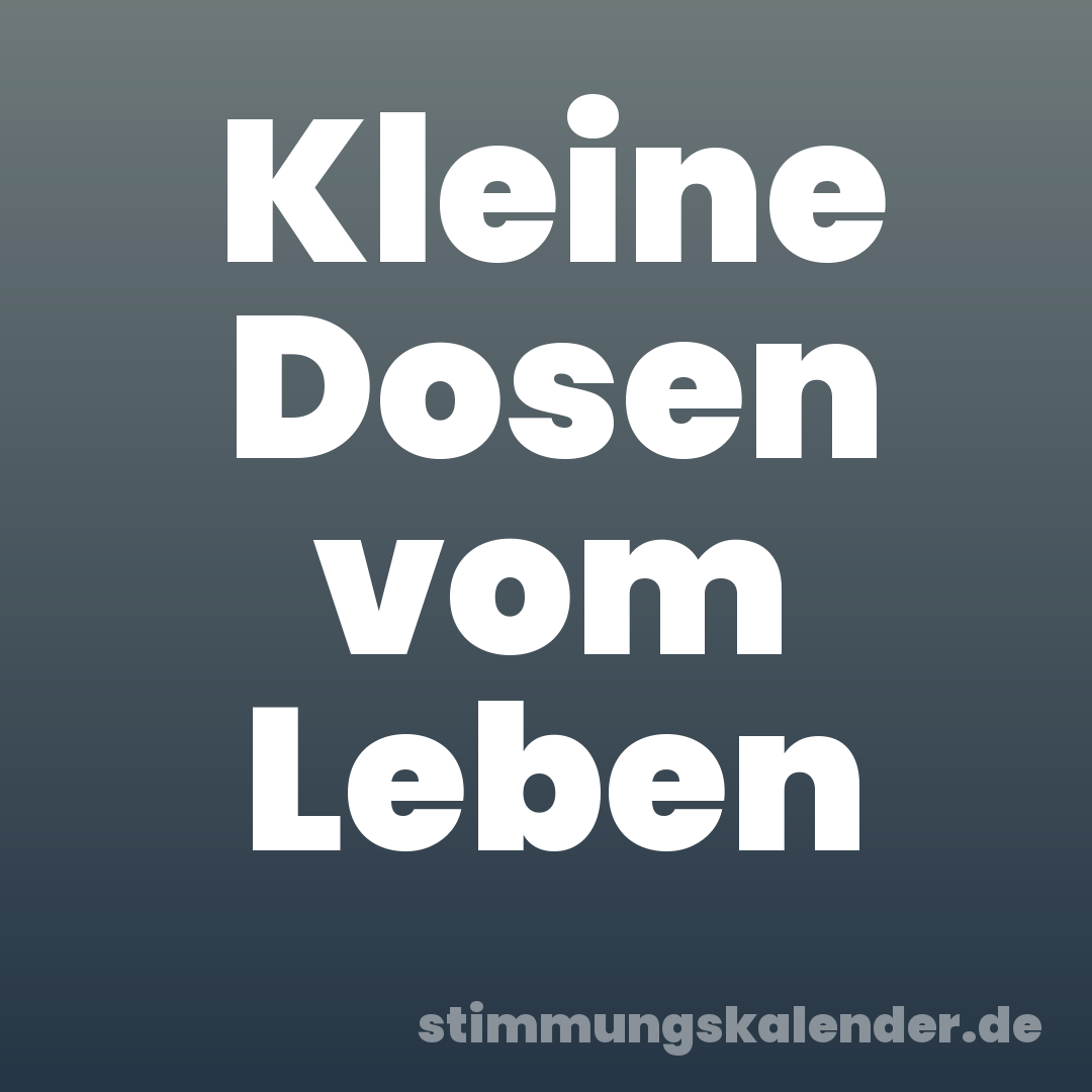 Kleine Dosen vom Leben