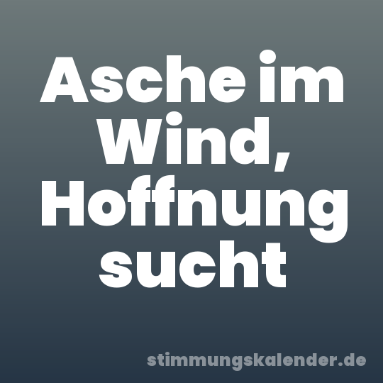 Asche im Wind, Hoffnung sucht