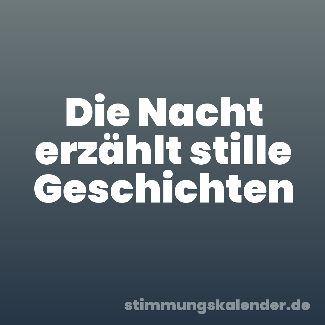 Die Nacht erzählt stille Geschichten