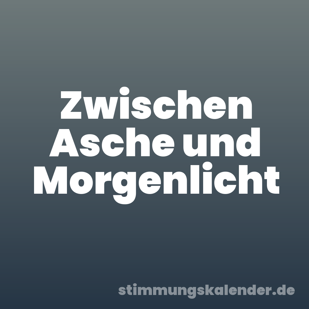 Zwischen Asche und Morgenlicht