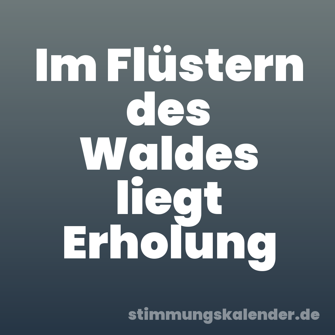 Im Flüstern des Waldes liegt Erholung