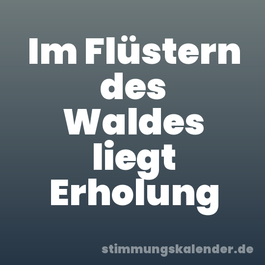 Im Flüstern des Waldes liegt Erholung