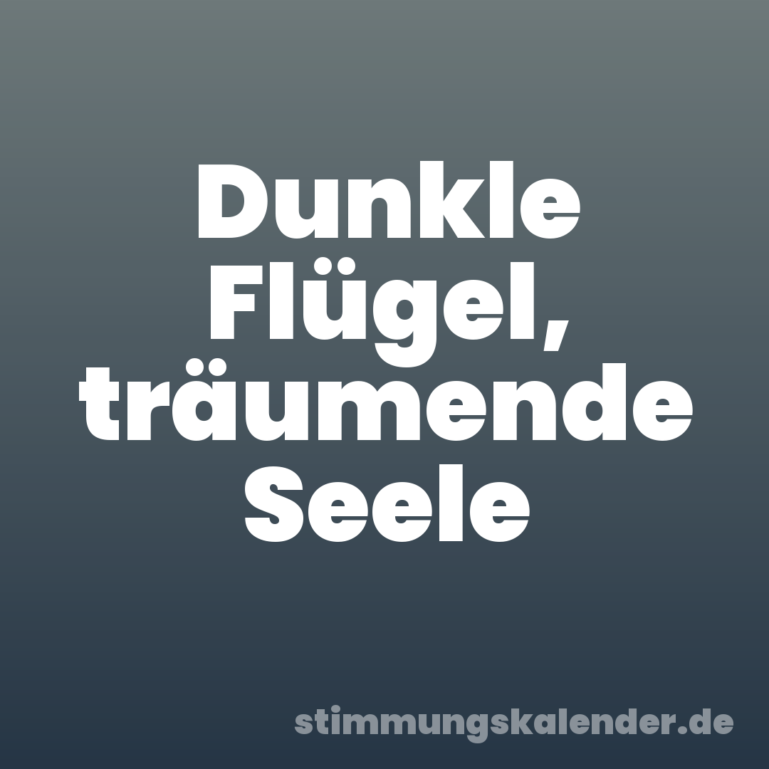 Dunkle Flügel, träumende Seele