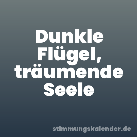 Dunkle Flügel, träumende Seele