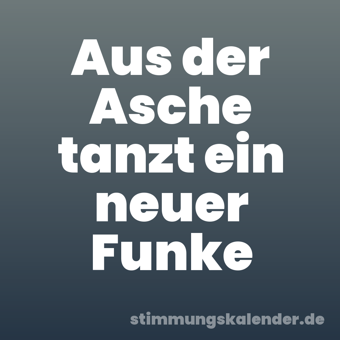 Aus der Asche tanzt ein neuer Funke