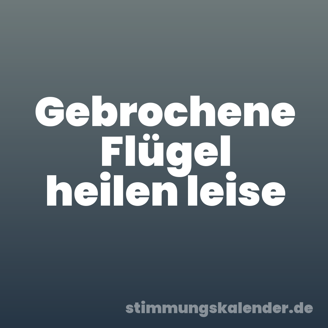 Gebrochene Flügel heilen leise