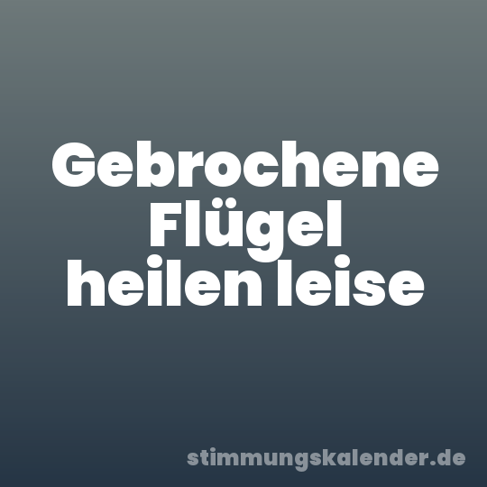 Gebrochene Flügel heilen leise