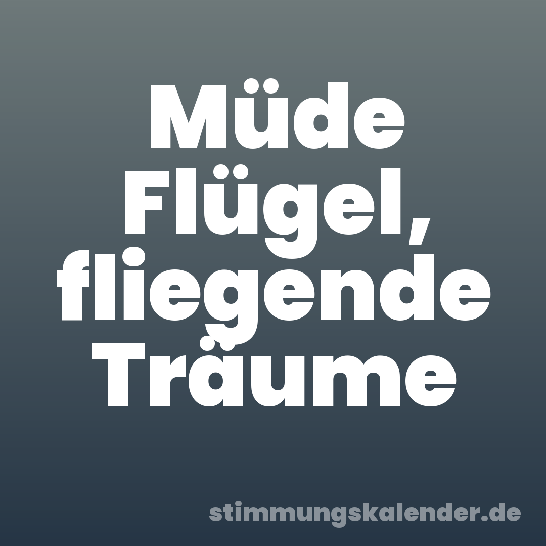 Müde Flügel, fliegende Träume