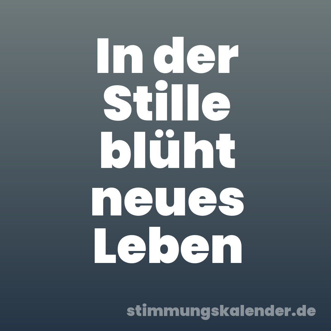 In der Stille blüht neues Leben