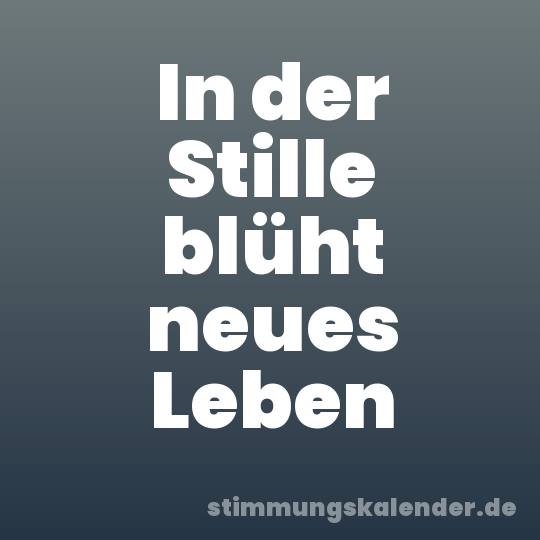 In der Stille blüht neues Leben