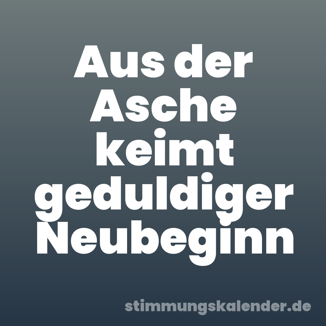 Aus der Asche keimt geduldiger Neubeginn