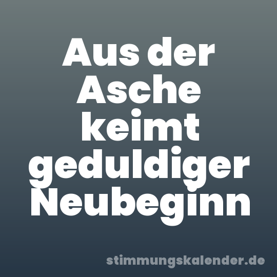 Aus der Asche keimt geduldiger Neubeginn